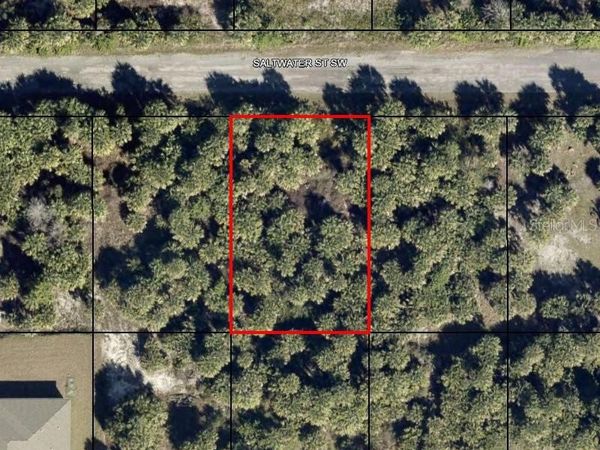 866 SALTWATER STREET SW, PALM BAY, FL 32908