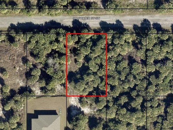 874 SALTWATER STREET SW, PALM BAY, FL 32908