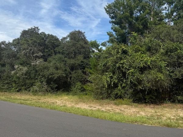 1721 E COLFAX LANE , HERNANDO, FL 34442