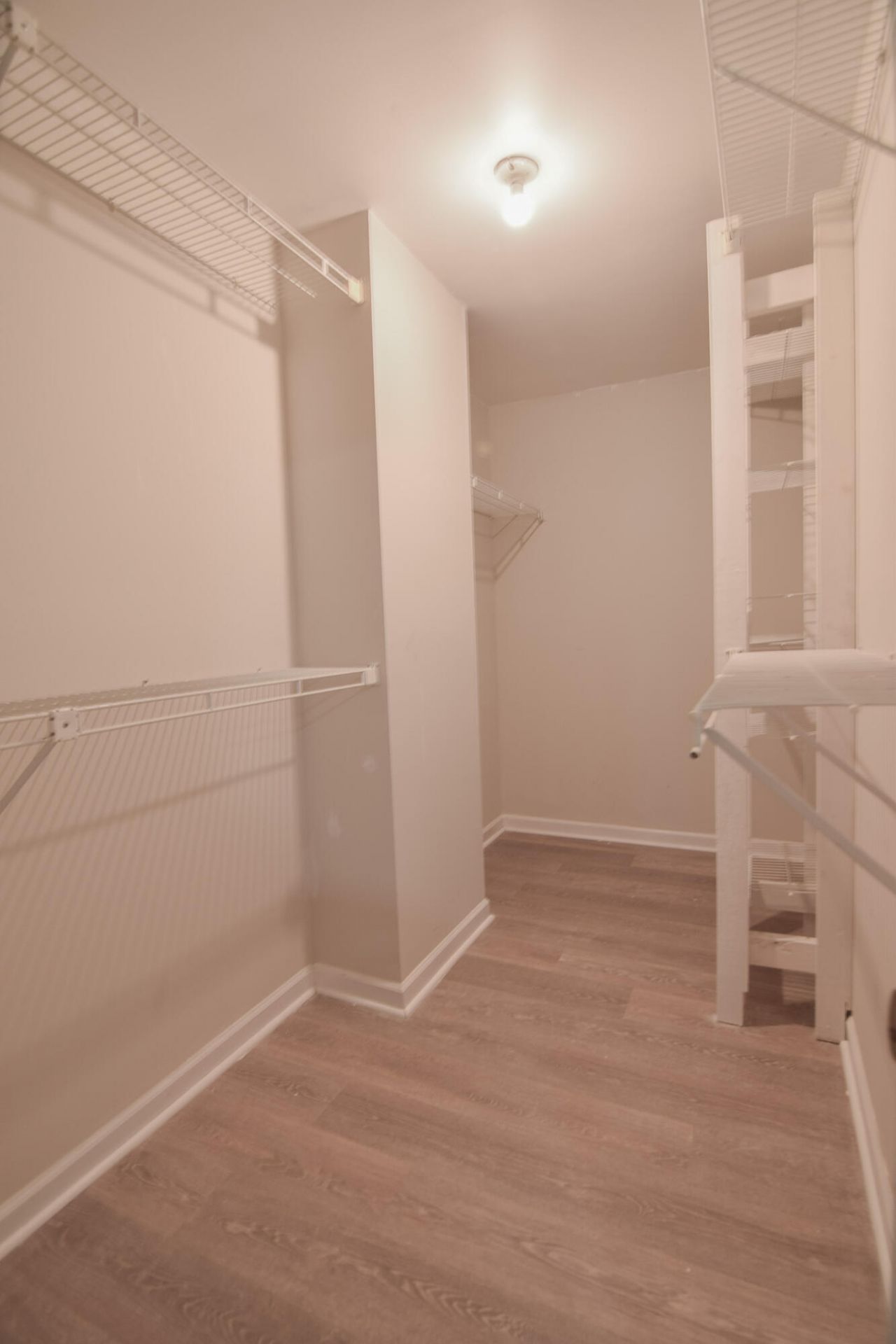 5407 Blufton Court Photo 14