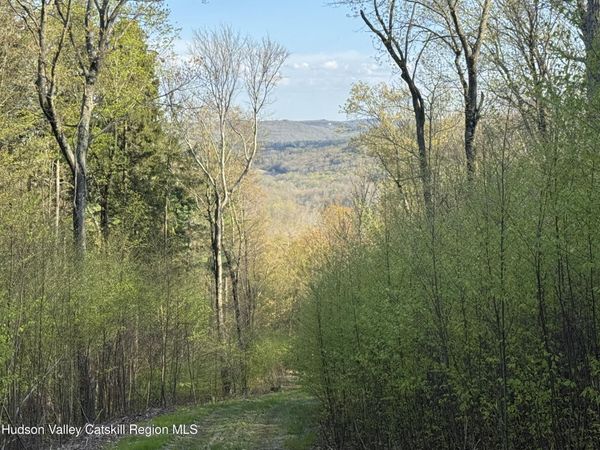 0 Route 82 , Ancramdale, NY 12503