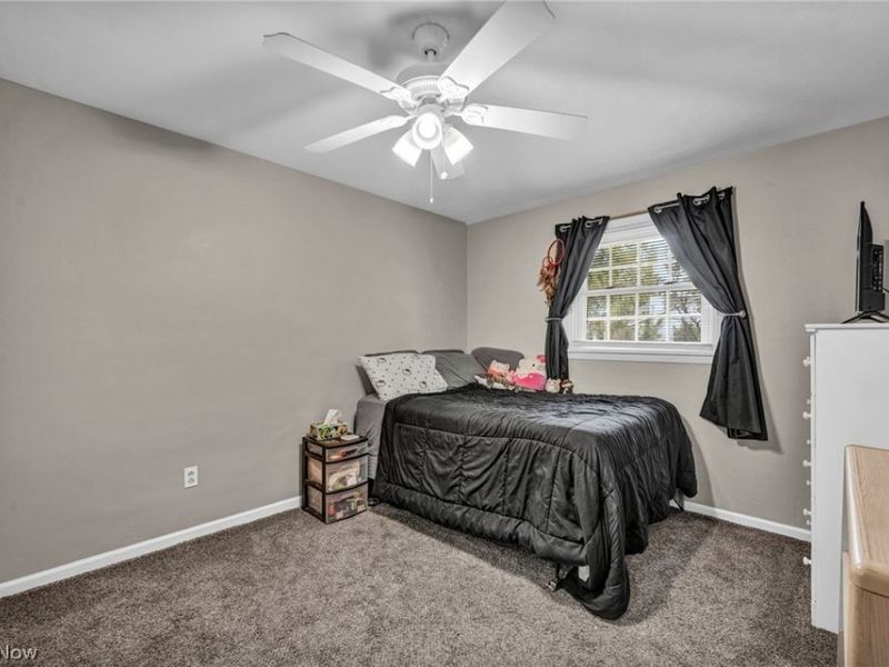 5803 Russia Road, Amherst, OH 44001 Photo 26