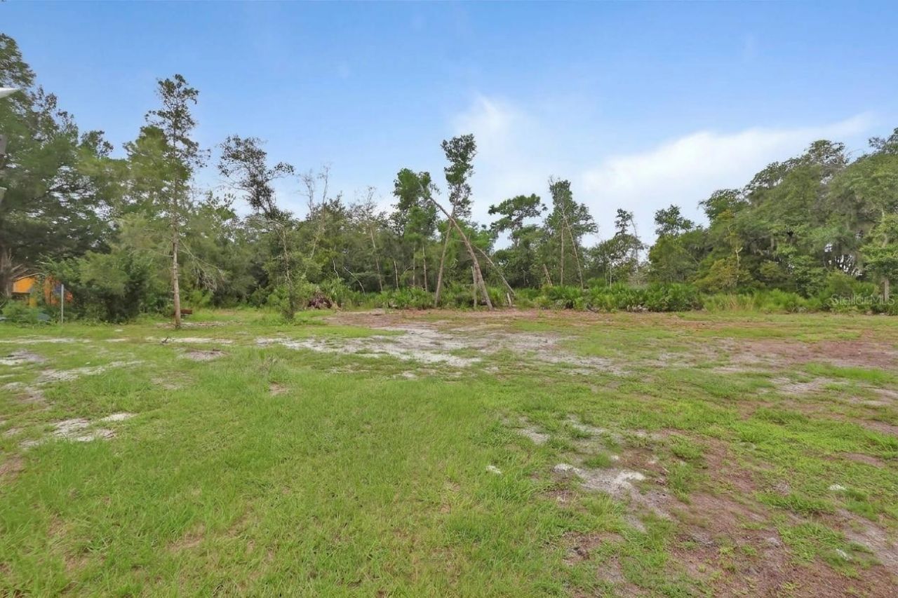 698 Wild Acres Road, Osteen, FL 32764 Photo