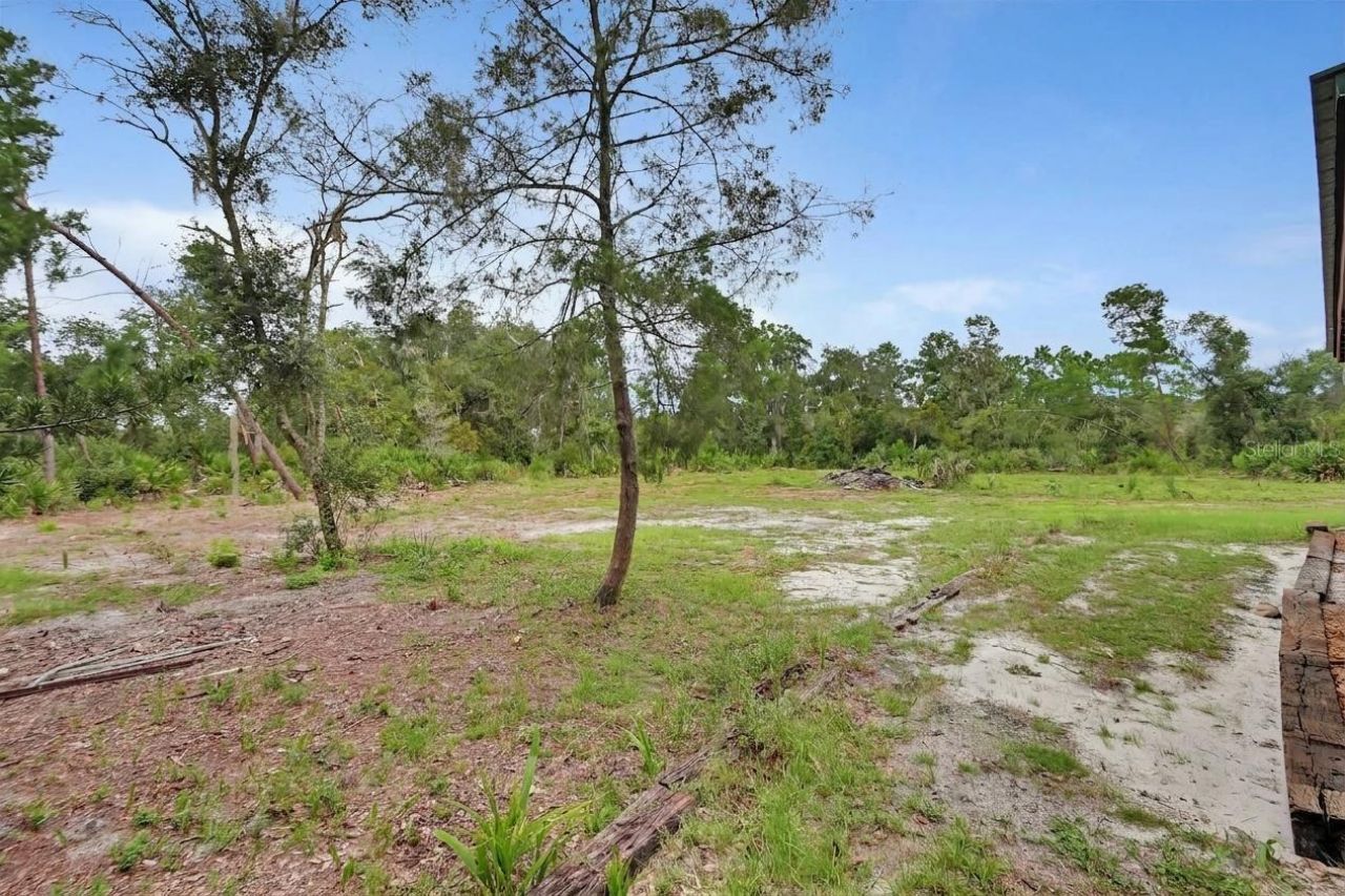 698 Wild Acres Road, Osteen, FL 32764 Photo