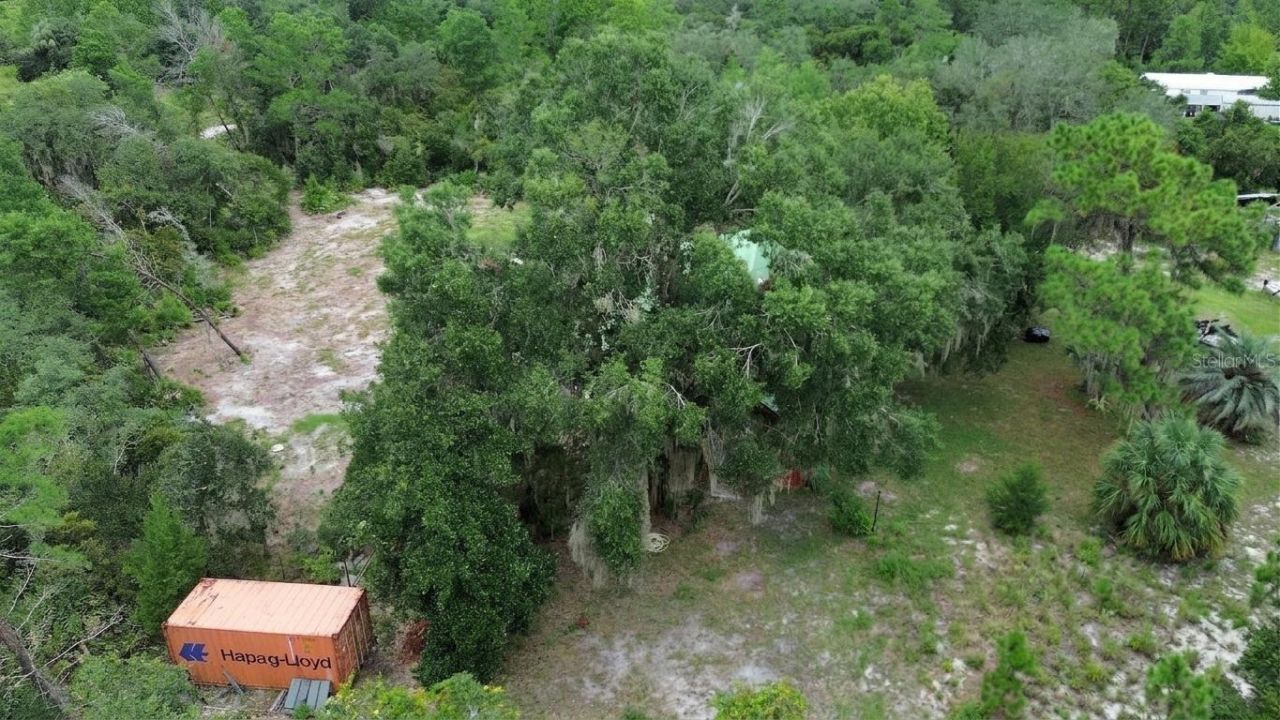 698 Wild Acres Road, Osteen, FL 32764 Photo