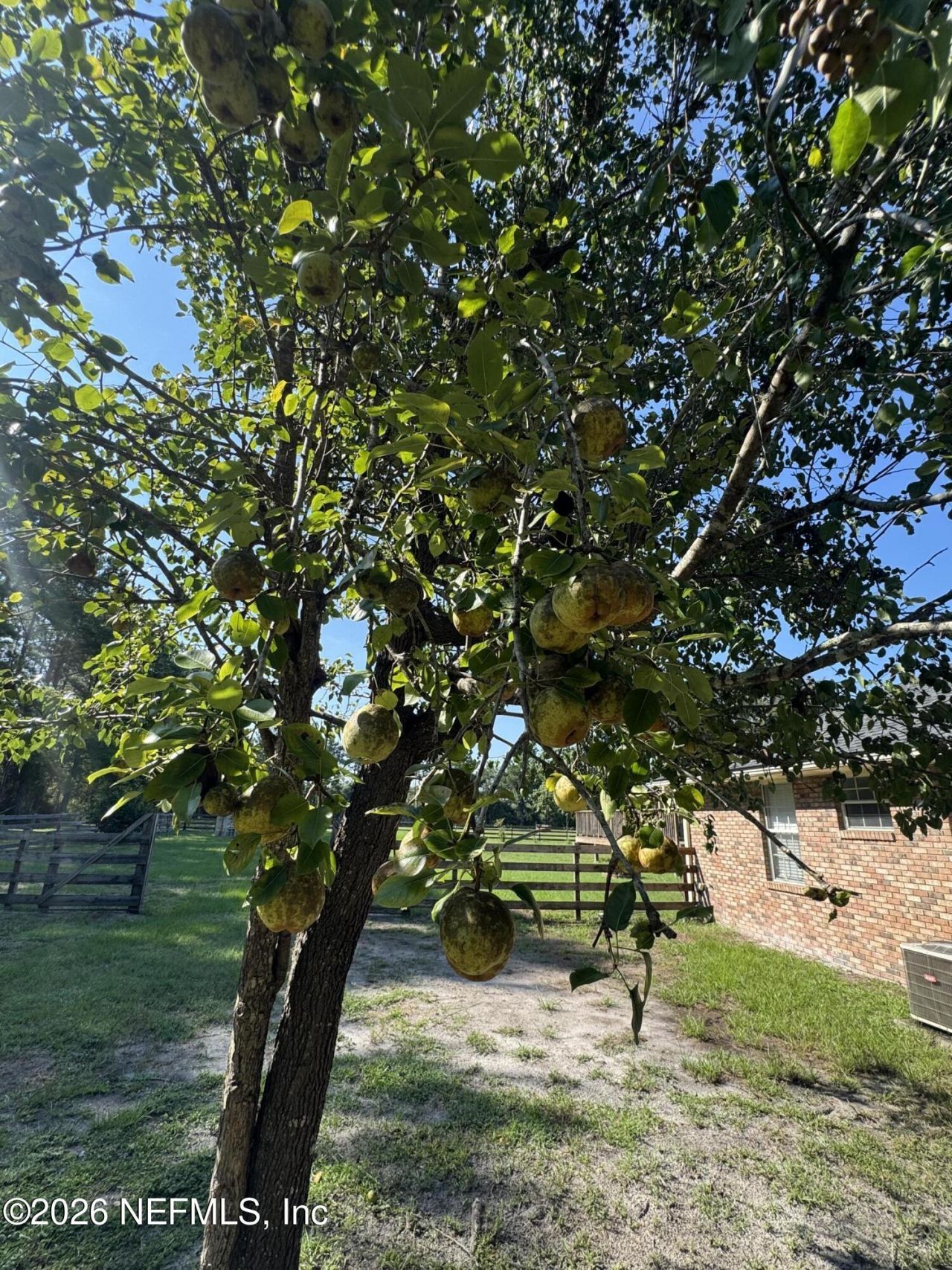 37491 Poole Road, Hilliard, FL 32046 Photo