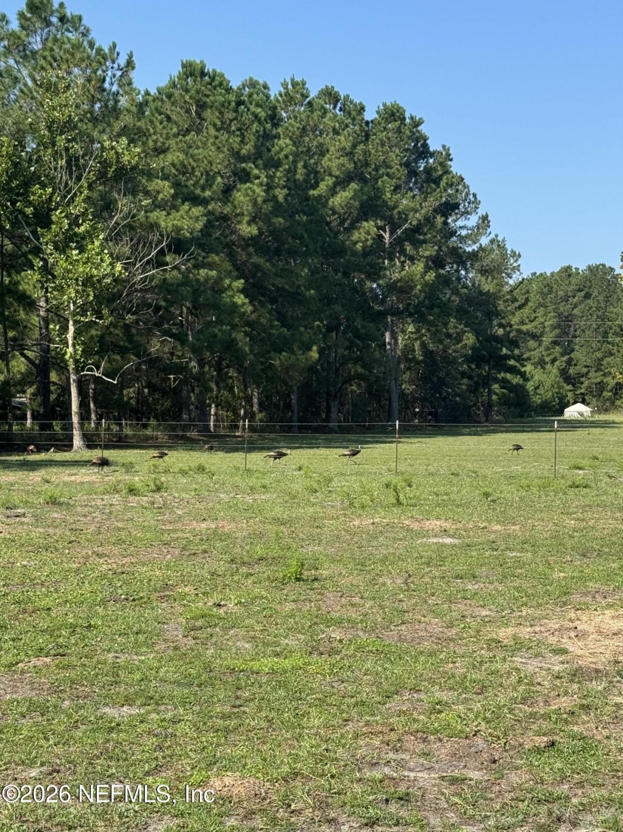 37491 Poole Road, Hilliard, FL 32046 Photo