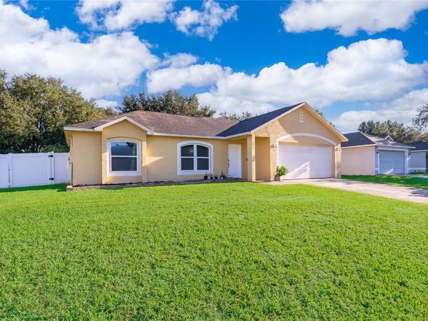 316 BRIMMING LAKE ROAD , MINNEOLA, FL 34715