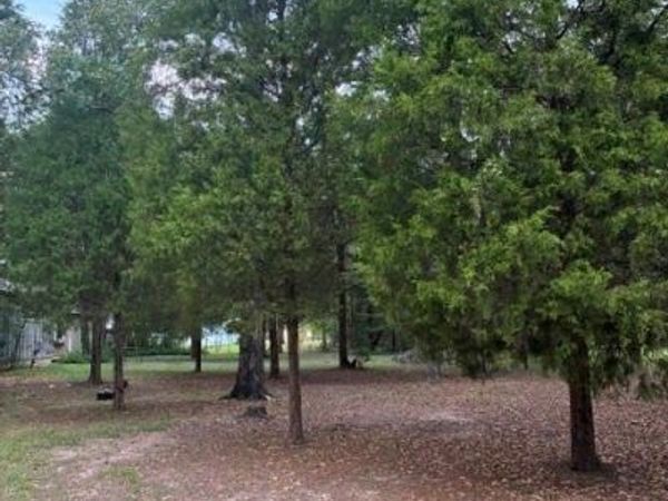 000 Jim Bowie Lane, Log Cabin, TX 75148