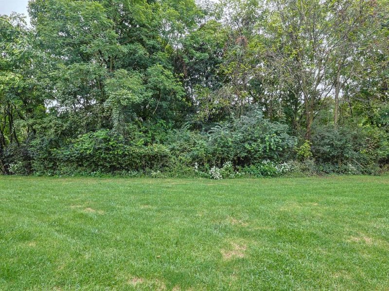 3510 Chestnut Park Lane, Miami Township, OH 45002 Photo 28