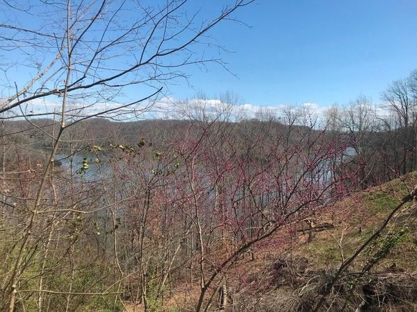 0 Marsh Road , Unit 28, Smithville, TN 37166