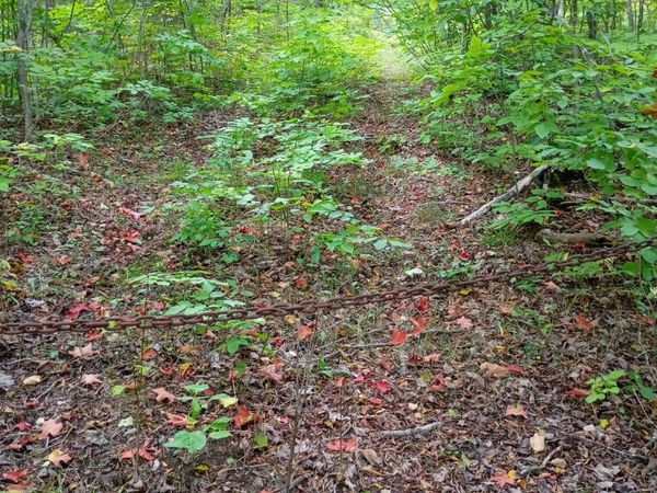 V/L 116AC Clinton Creek Road, Presque Isle, MI 49777