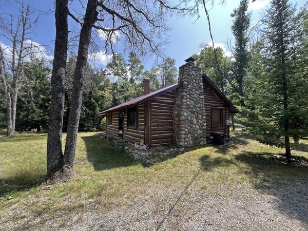 6585 Big Wolf Lake Road, Lewiston, MI 49756