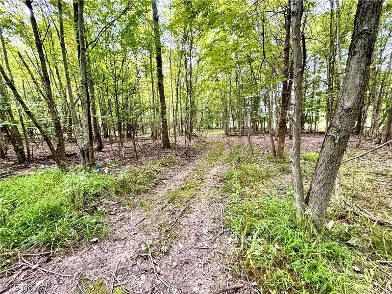 Oyster Road, North Benton, OH 44449 Photo 23