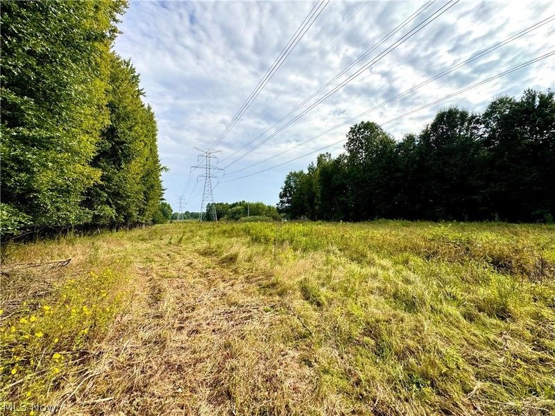 Oyster Road, North Benton, OH 44449 Photo 33