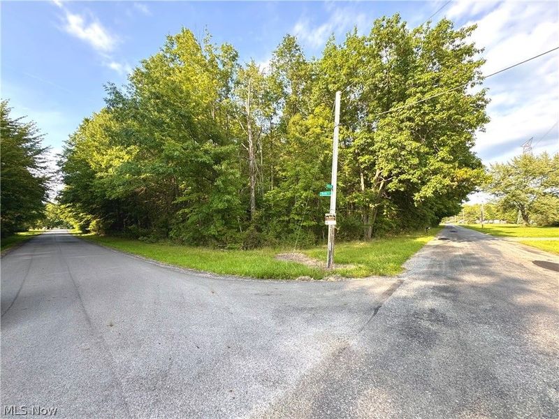 Oyster Road, North Benton, OH 44449 Photo 41