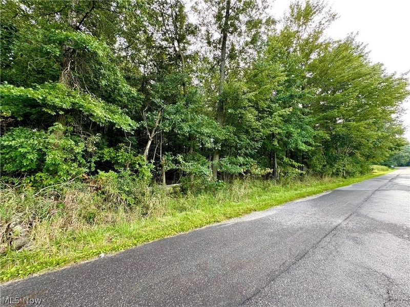 Oyster Road, North Benton, OH 44449 Photo 49