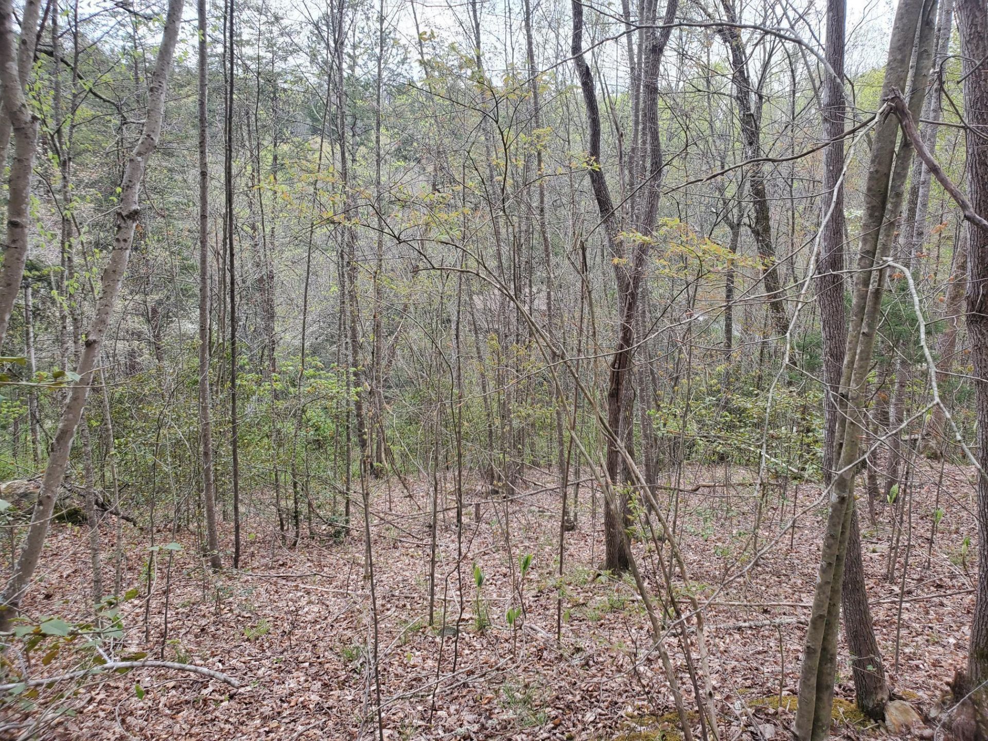 Lot 35-lot 36 Boulder Drive, London, KY 40741 Main Photo