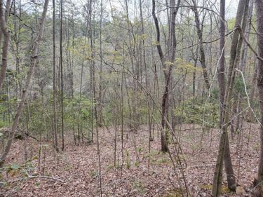 Lot 35-Lot 36 Boulder Drive, London, KY 40741