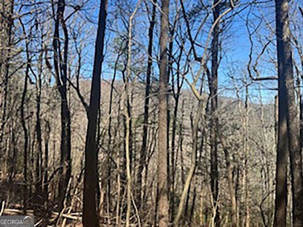 LOT 14 Butler Creek Road, Cherry Log, GA 30522