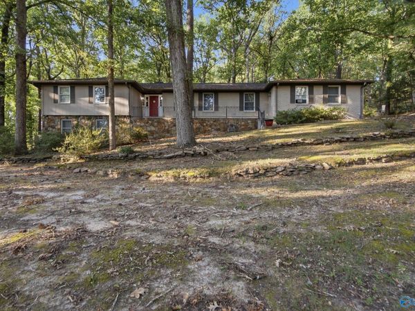 2806 Burningtree Mountain Road SE, Decatur, AL 35603