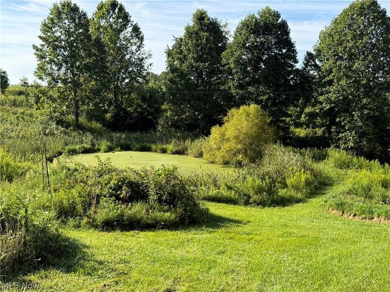 1410 State Route 550 , Amesville, OH 45711 Photo 2
