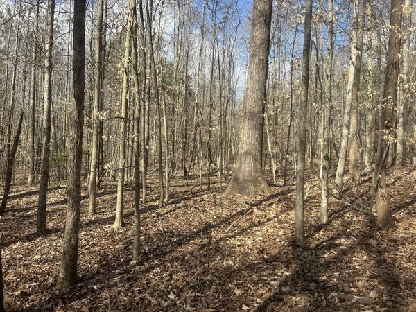 0 Mt Carmel Rd , Camden, TN 38320