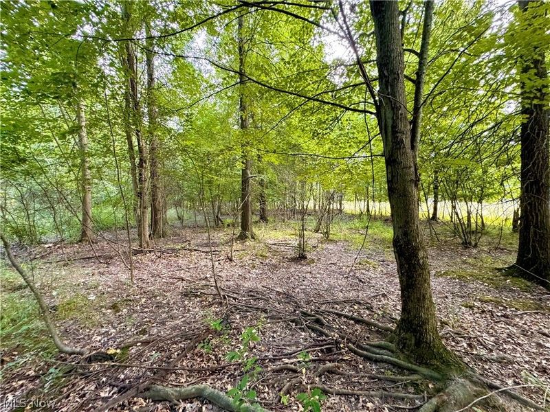 Oyster Road, North Benton, OH 44449 Photo 37
