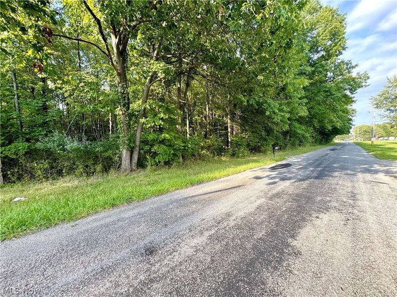 Oyster Road, North Benton, OH 44449 Photo 40