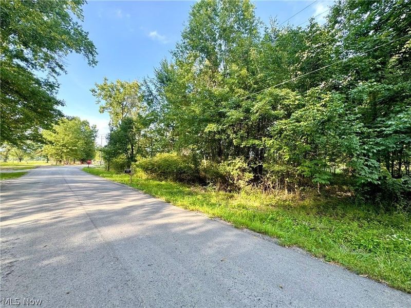 Oyster Road, North Benton, OH 44449 Photo 47