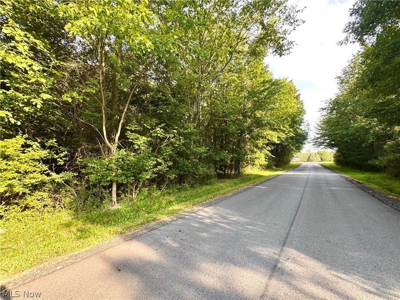 Oyster Road, North Benton, OH 44449 Photo 42