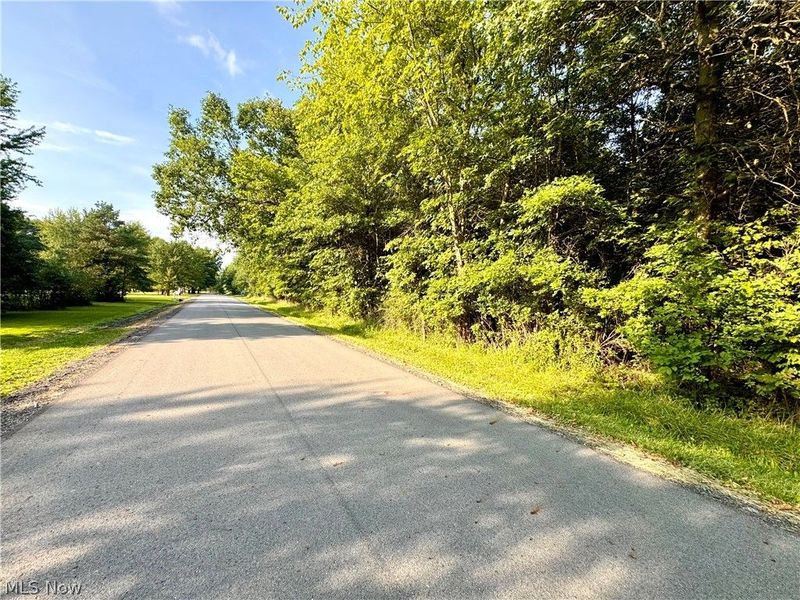 Oyster Road, North Benton, OH 44449 Photo 43