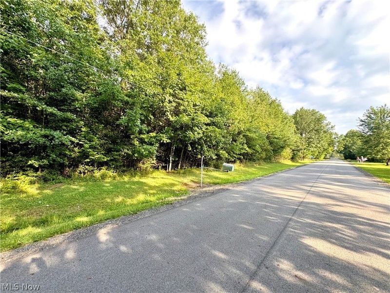Oyster Road, North Benton, OH 44449 Photo 45