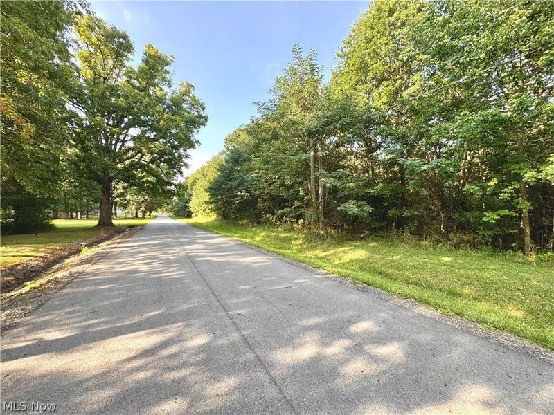 Oyster Road, North Benton, OH 44449 Photo 46