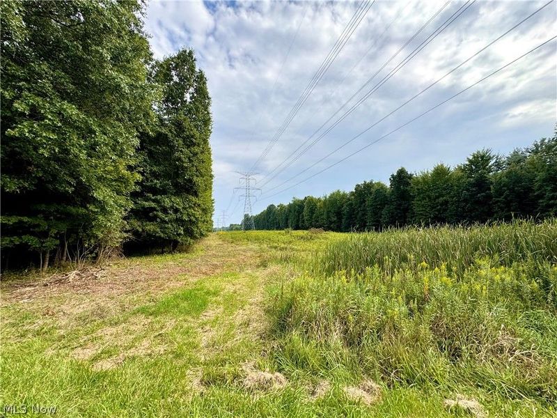 Oyster Road, North Benton, OH 44449 Photo 5