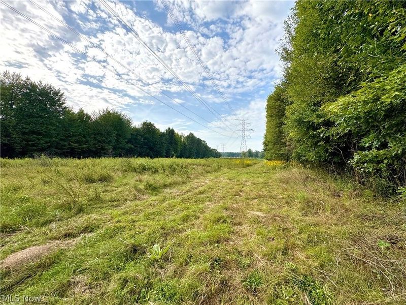 Oyster Road, North Benton, OH 44449 Photo 6