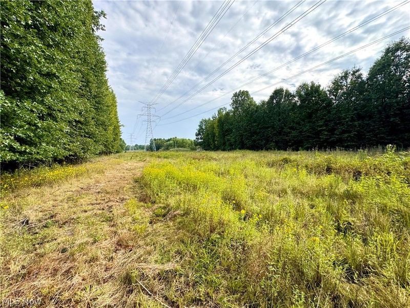 Oyster Road, North Benton, OH 44449 Photo 7