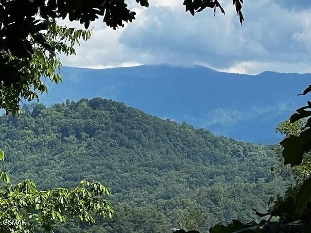 0 Chinquapin Drive, Lot #37A, Sevierville, TN 37862 Main Photo