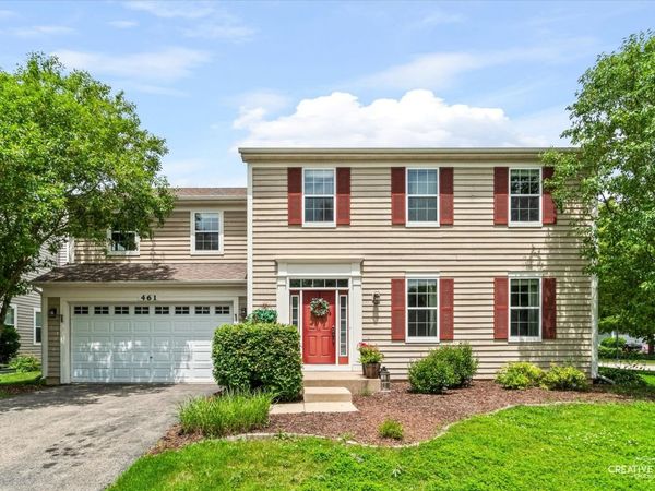 461 Mooresfield Street, Elgin, IL 60124