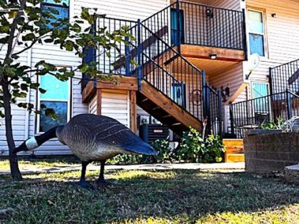 204 Falconhead, Unit F, Burneyville, OK 73430
