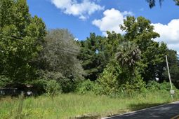1806 New Rd. photo 4