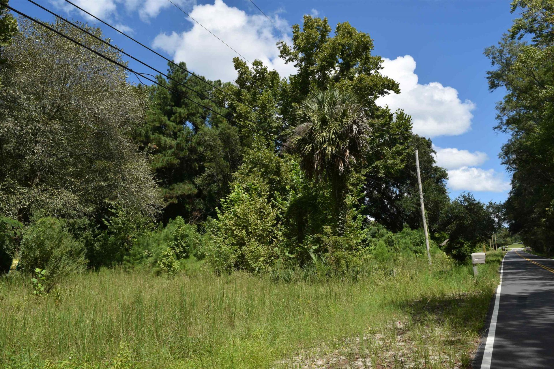 1806 New Rd. Photo 4