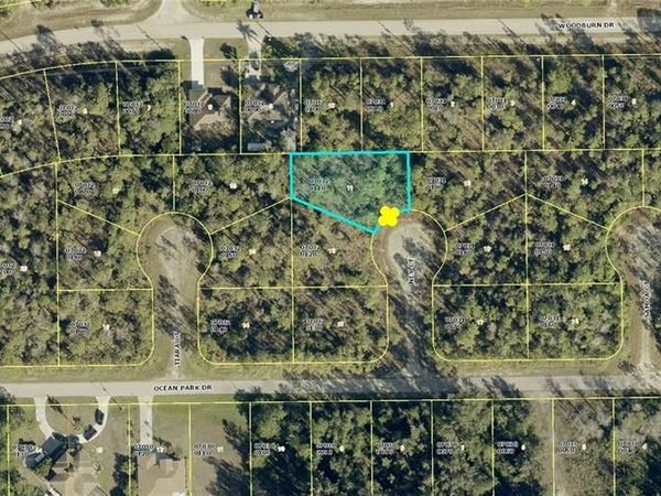 1905 Ney CT , LEHIGH ACRES, FL 33972