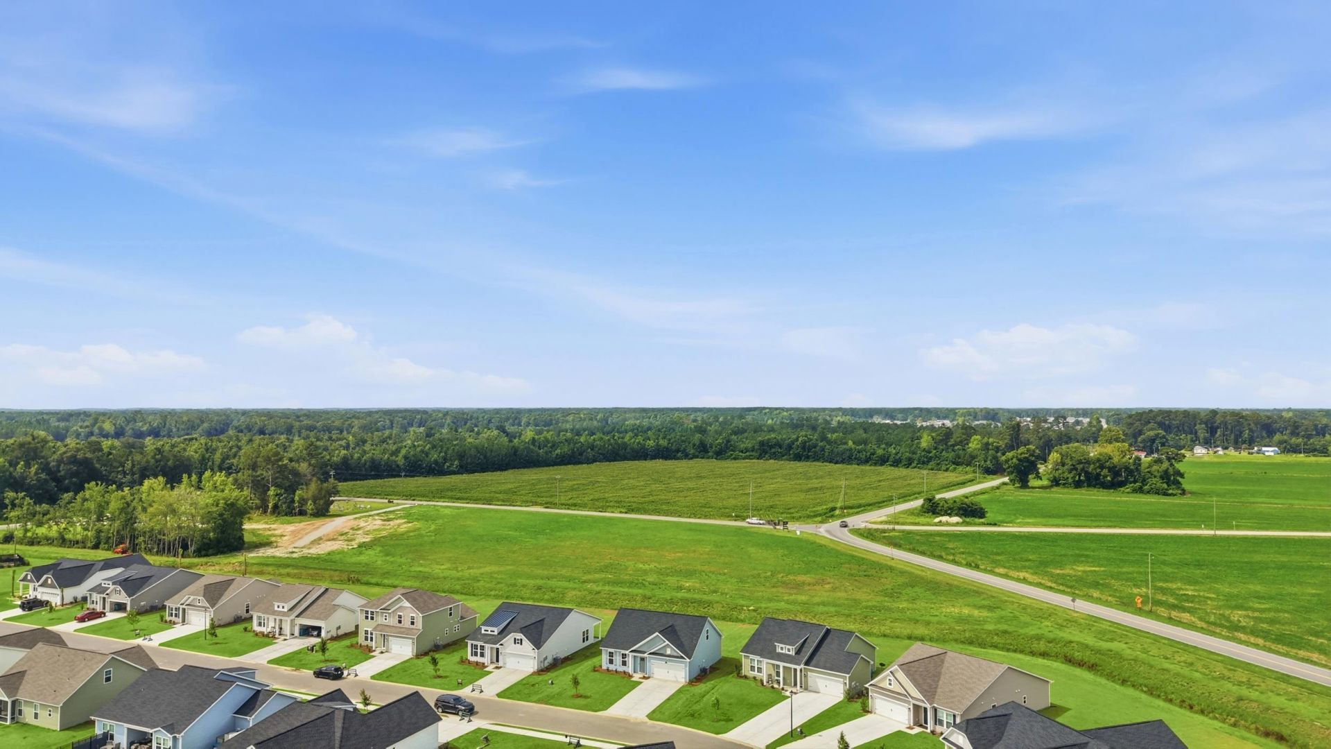 221 River Birch Dr. Photo 42