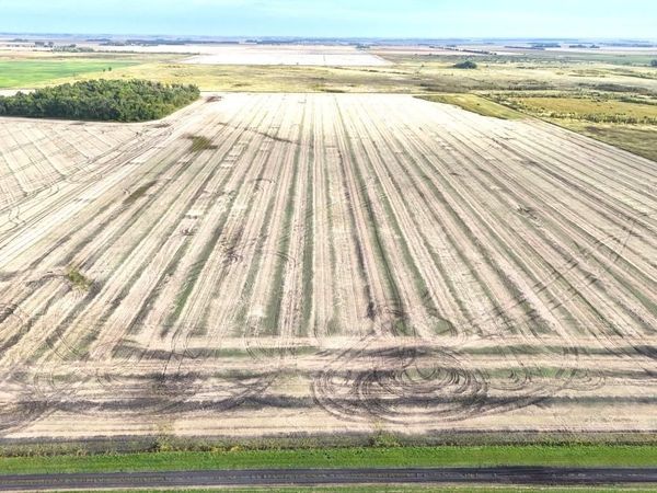 TBD 108 Street NE, Neche, ND 58265