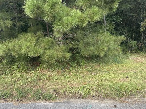 0 CREEKWOOD PLACE, Mobile, AL 36695