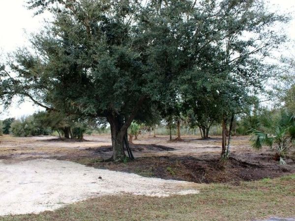 19576 NW 264TH Street, Okeechobee, FL 34972