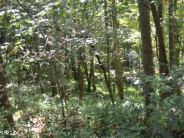 2121 Riley Creek Rd, Whitleyville, TN 38588
