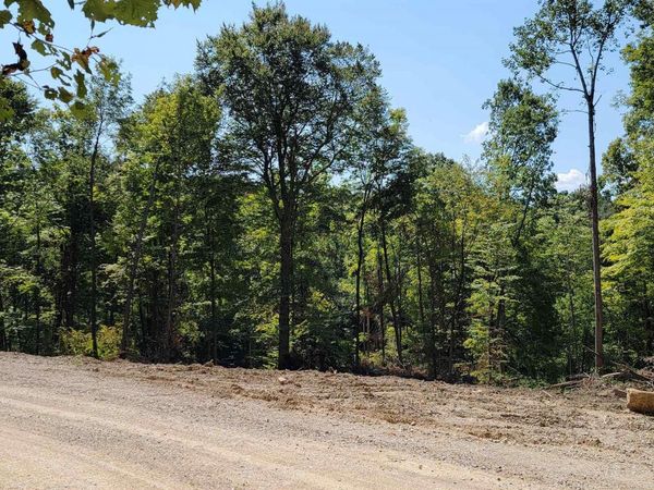 Lot 1 Stephanie Court, Solsberry, IN 47459
