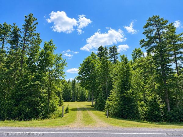 24364 Us-23 N, Bearinger Township, Mi 49759